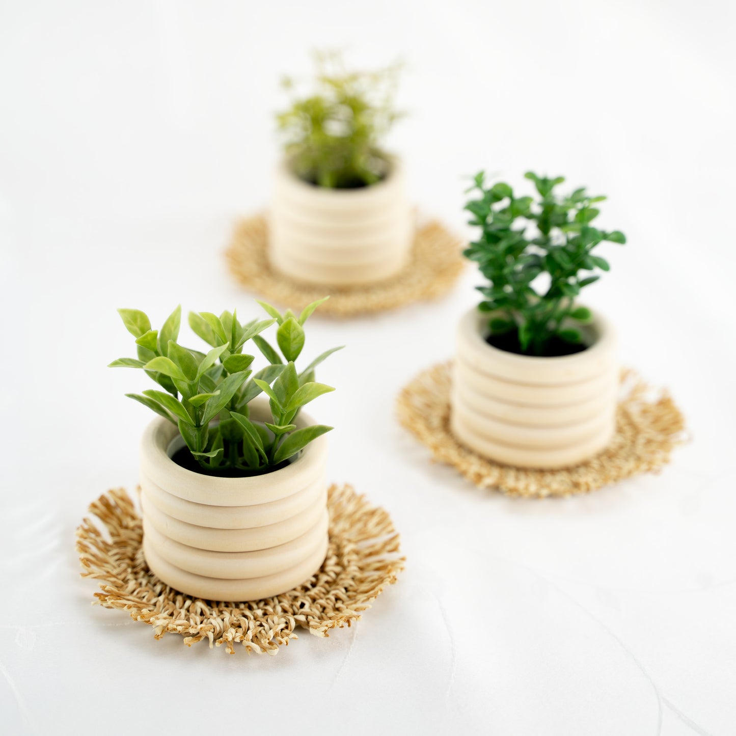 Holzringe 50 mm 50 St.